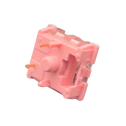 Onderkant van de KTT Rose switch met duidelijke zicht op de pinnen en structuur